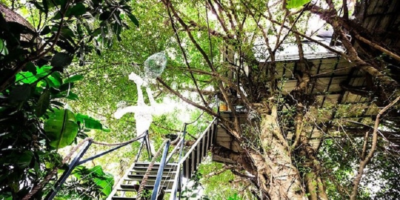 Homestay trên cây ở ngoại thành Hà Nội
